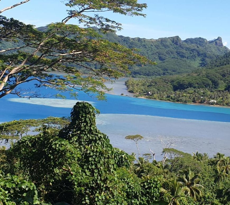Huahine Manta Lodge Avec 4X4 Optionnel Haapu Dış mekan fotoğraf