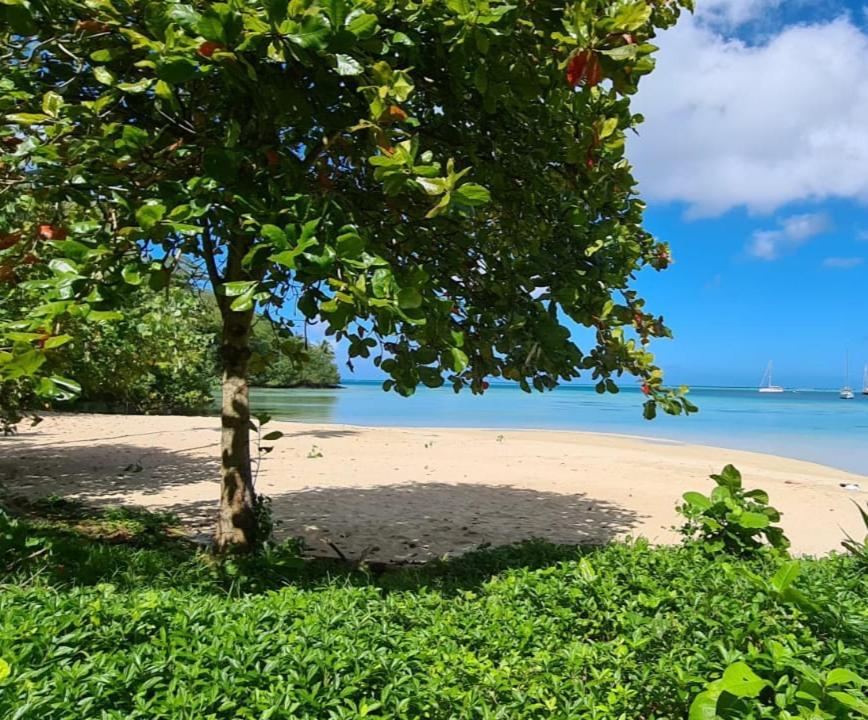 Huahine Manta Lodge Avec 4X4 Optionnel Haapu Dış mekan fotoğraf