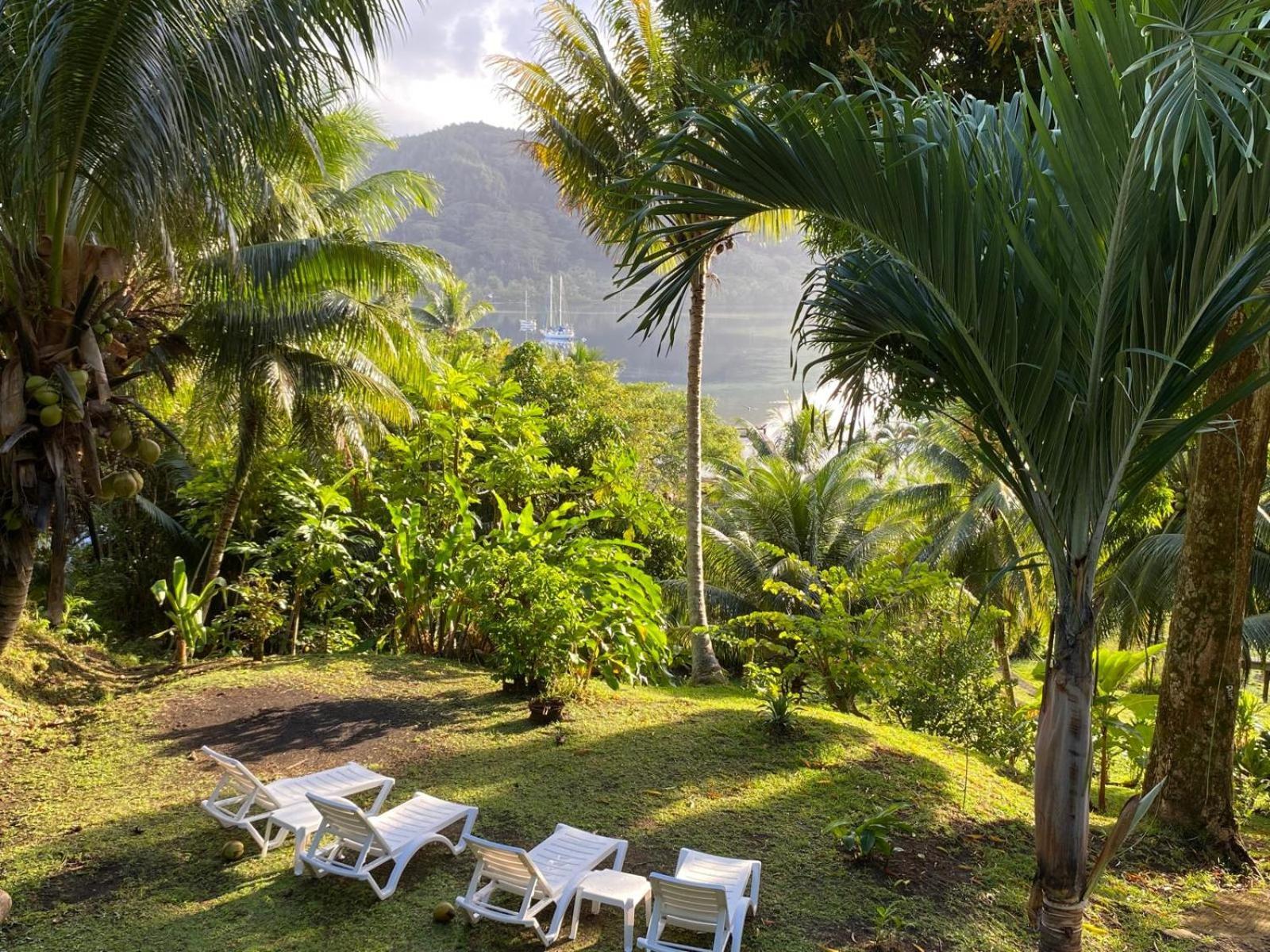 Huahine Manta Lodge Avec 4X4 Optionnel Haapu Dış mekan fotoğraf
