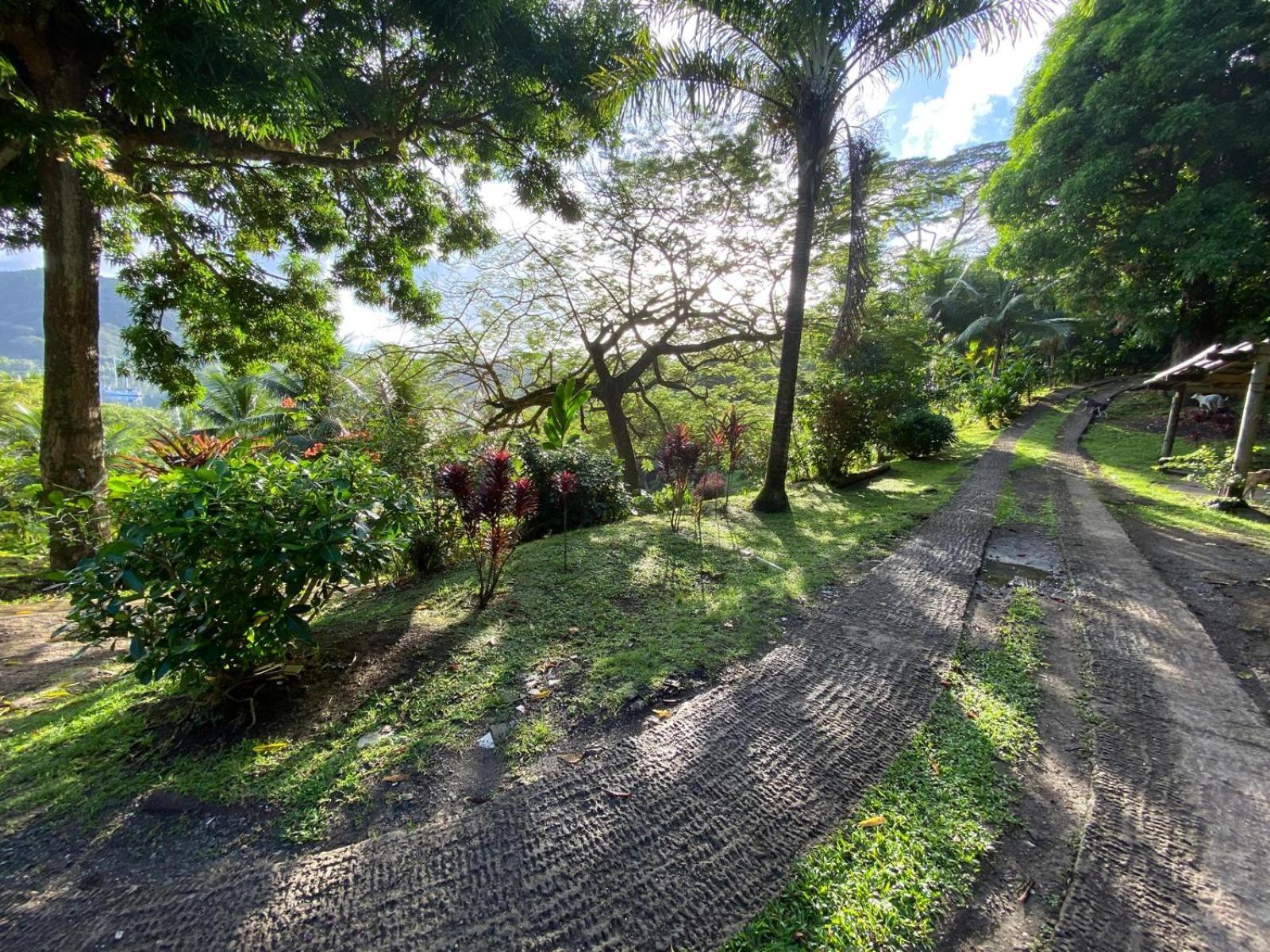 Huahine Manta Lodge Avec 4X4 Optionnel Haapu Dış mekan fotoğraf