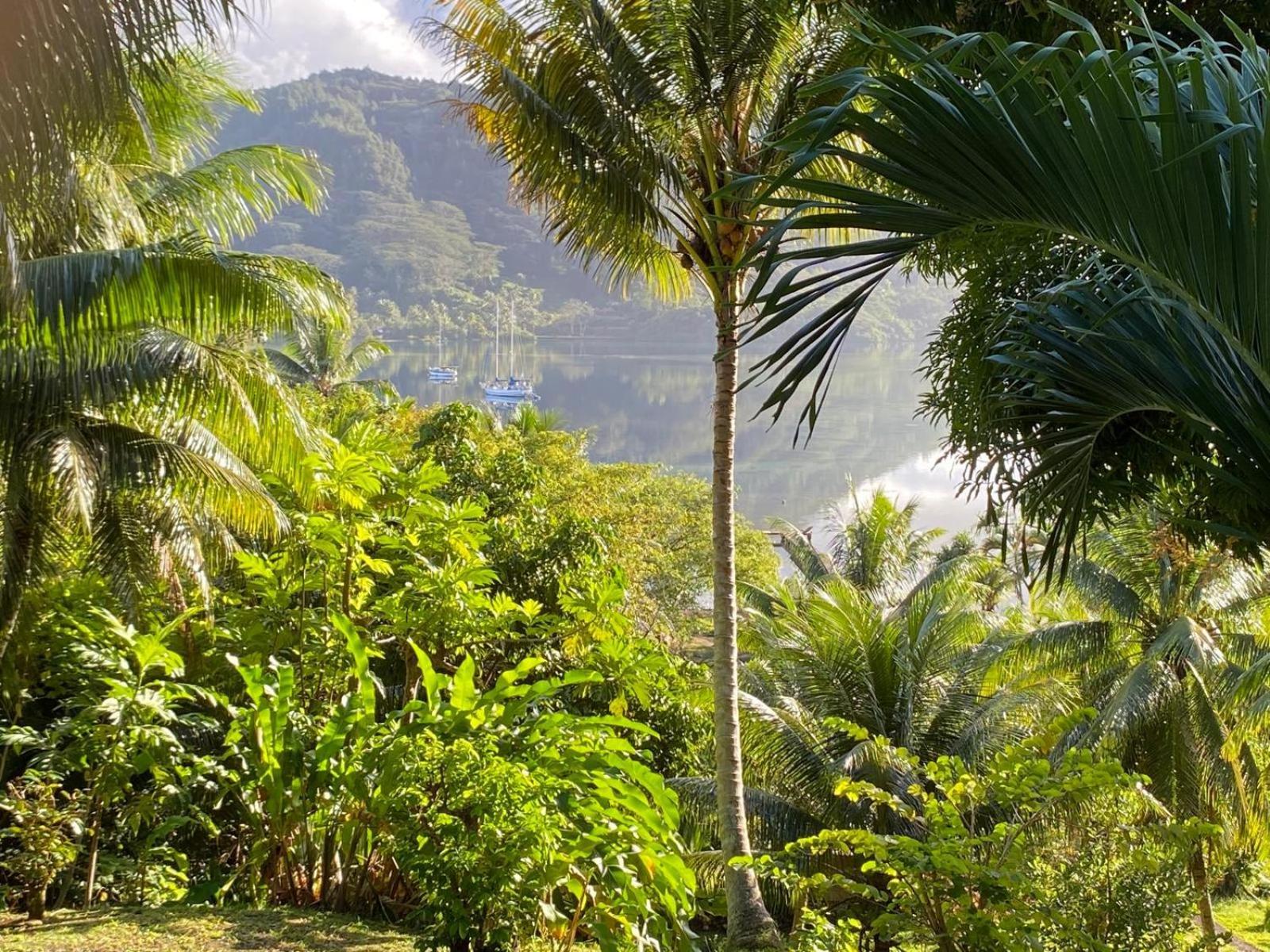 Huahine Manta Lodge Avec 4X4 Optionnel Haapu Dış mekan fotoğraf